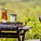 Hitgeheim Country Lodge