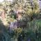 Le clos du Tay