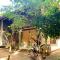 Jungle House - Udawalawe