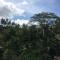 Ubud Hills Villas & Resort
