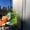 MD Modern Hotel - Jardines