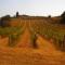 Il Cielo Bio - Il più piccolo B&B del Chianti