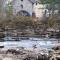 Woodland Gean Lodge