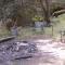 Luxury woodland Alder Lodge