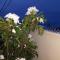 Villa Mila, 4 bedroom with pool and tropical views Curacao
