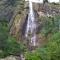 RIO Homestay