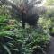 Tropical Garden Self Catering Tropical Garden Self Catering