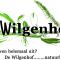 De Wilgenhof - Finsterwolde