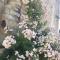 Demeure de Forterre photo 14