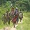 Mbunga Community Tourism Campsite