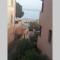 MONTEROSSO...A DUE PASSI DAL MARE