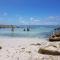 Beachcombers - Agulhas