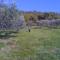 hilltop villa garden with great views - Poggio Catino