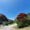 Punakaiki Beach Camp