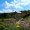 Berghotel Mooshütte am Arber, Naturidyll auf 950m