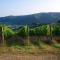 I Veroni - Agriturismo and Wine Cellar - 蓬塔谢韦
