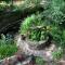 Aldgate Creek Cottage Bed and Breakfast
