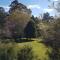 The Paddocks