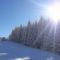 Milmari resort Sara P61