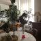 Appartement Centre Ville Bastia
