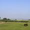 Lily Hill Farm - Barnard Castle