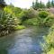 Bellbird Cottage - Lake Taupo Bach - Waitahanui