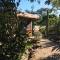 The Pickled Onion B&B and Restaurant Uxmal