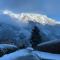 Superbe chalet-11 personnes-Chamonix(Les Bossons) - 夏蒙尼-勃朗峰