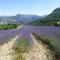 Le Relais des Baronnies