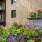 Chateau Roaring Fork Unit 35, Newly Updated Condo, 4 Blocks From Aspen Mountain - Aspen