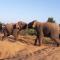 Tusker's Paradise Safari Villa - اوداوالاوي