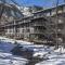 Chateau Roaring Fork Unit 35, Newly Updated Condo, 4 Blocks From Aspen Mountain - Aspen