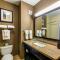 Holiday Inn Arlington Northeast by IHG