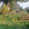 Janu Homestay