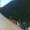 Livadia studio