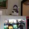Hostel31