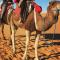 Nomad Camp Merzouga - 梅尔祖卡