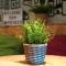 Haystack Hostel