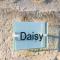 Host & Stay - Daisy Cottage