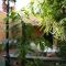 Casa Antiquary