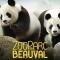 L'Or d'Anesses proche Zoo de Beauval photo 8