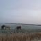 Op de Bult