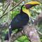 Macaws Ocean Club Apartamento # 18