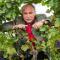 Wein & Landhaus Willi Opitz