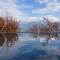 Provence Rose Lodge