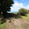 Morfa Isaf Cottage - Llangranog