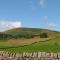 Cottam Cottage Farm