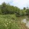 Island Yurt - Beckford