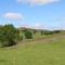 Meadows Edge