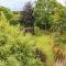 Fig Trees - Wibble Farm - Williton